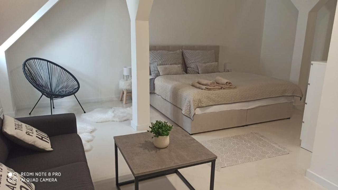 U Zlate Hvezdy Apartman Jungmann Lägenhet Litoměřice Exteriör bild